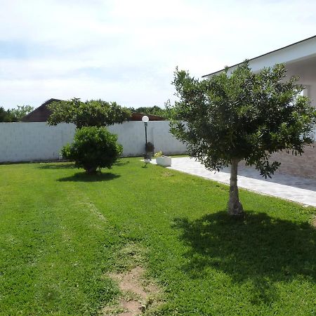 Chalet Verde Tavernes de Valldigna Exterior photo